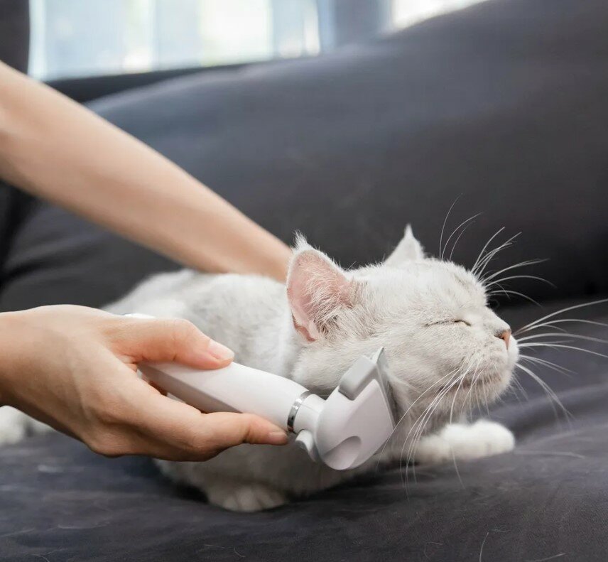 Расческа Pawbby