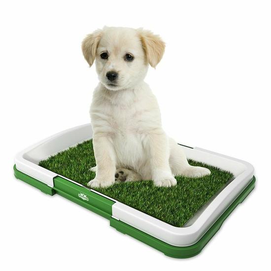 Puppy Potty Pad: туалет для собак