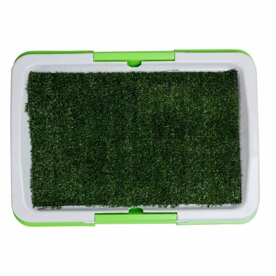 Puppy Potty Pad: туалет для собак