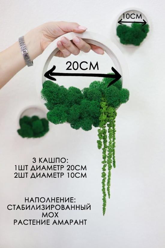 Настенные кашпо Stabflora