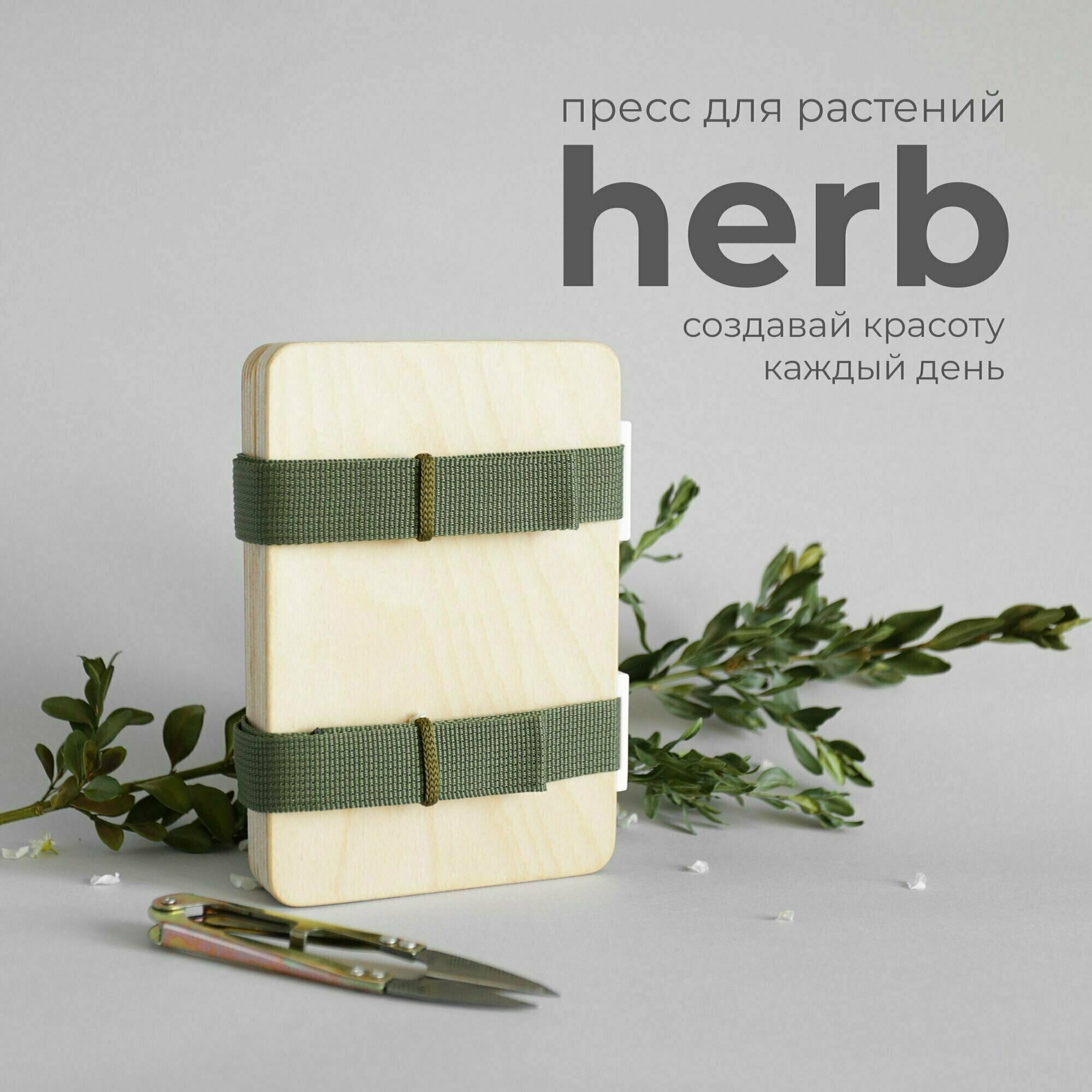 Гербарий