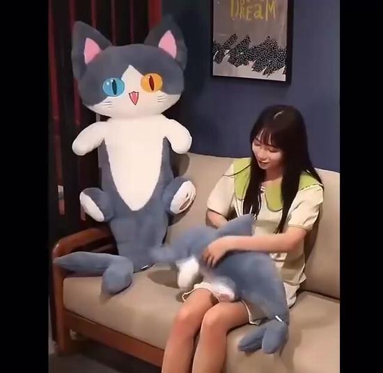 Мягкая игрушка кот акула обнимусь