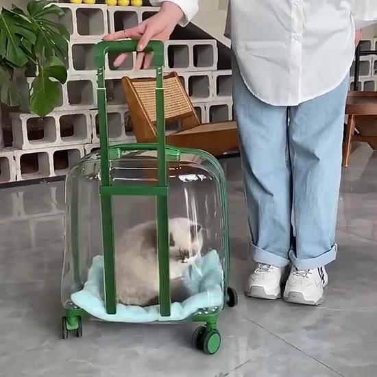 Рюкзак для питомца