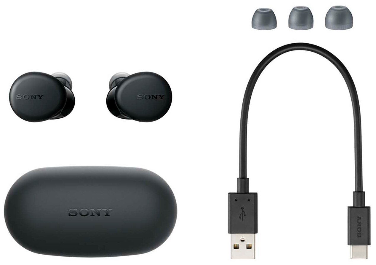 Наушники Sony WF-XB700