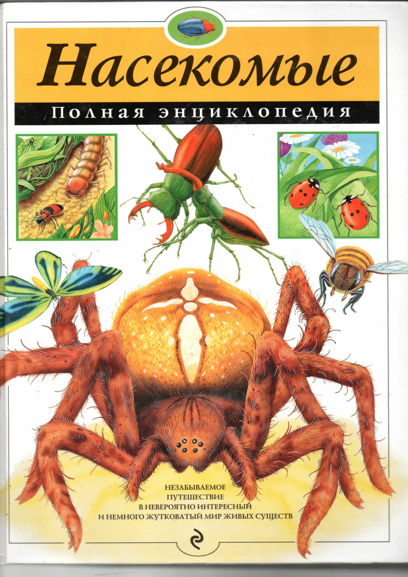 Энциклопедия насекомых
