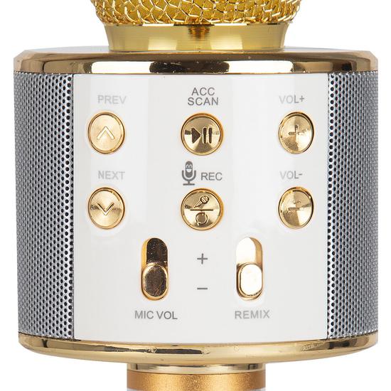 Караоке-микрофон WSTER WS-858 с колонкой и Bluetooth.