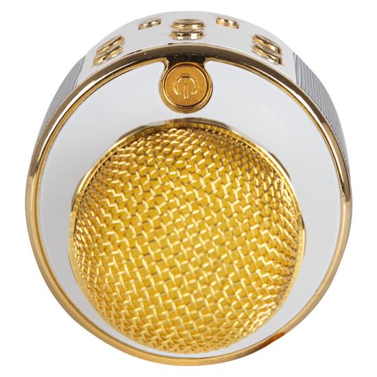 Караоке-микрофон WSTER WS-858 с колонкой и Bluetooth.