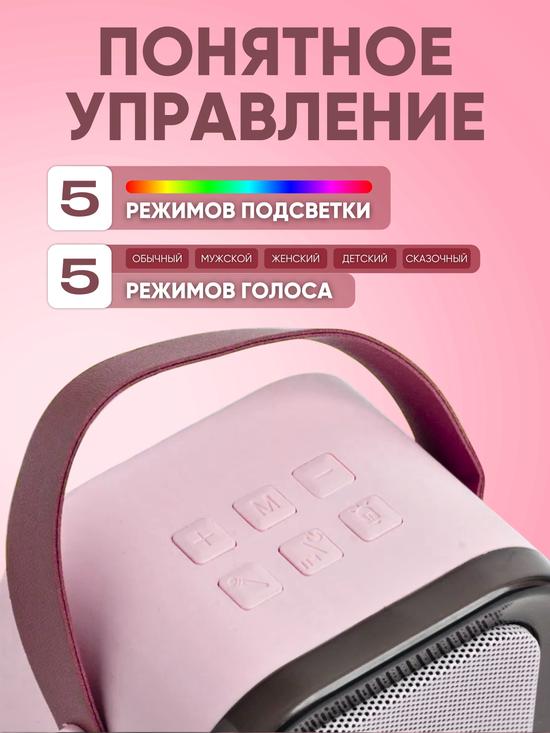 Караоке-система портативная.