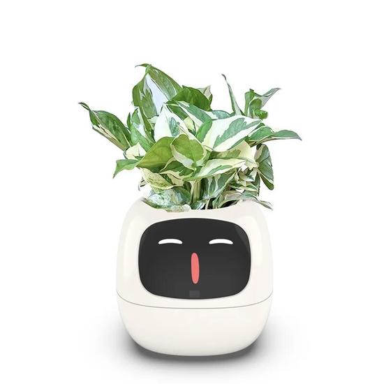 Умный цветочный горшок Zoeydam Ivy